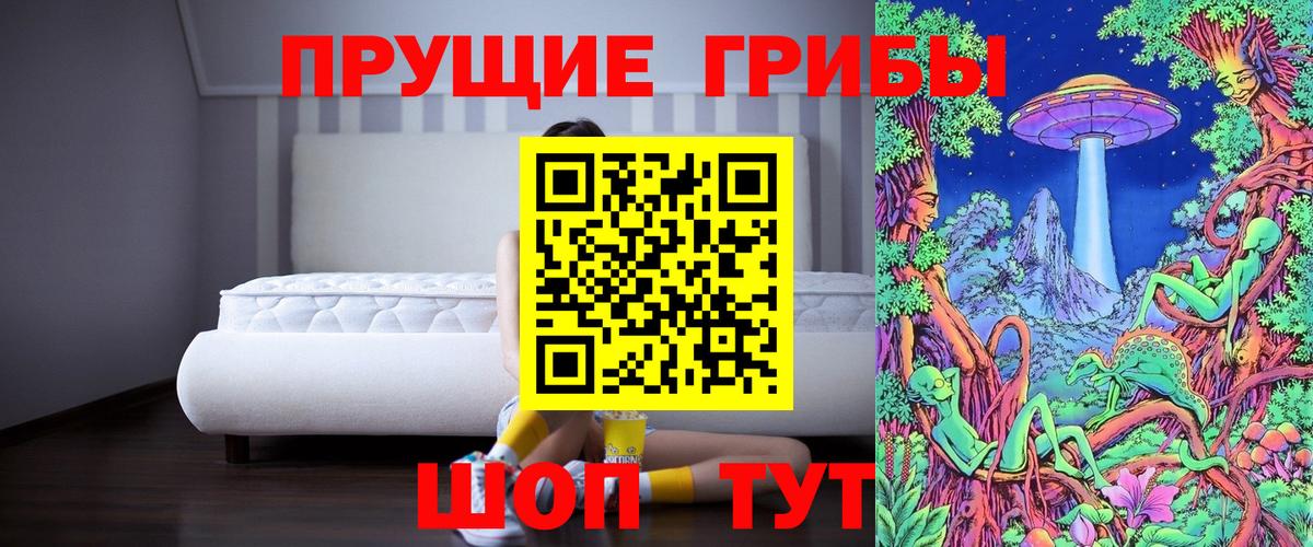 Мичуринск  Галлюциногенные грибы MAGIC MUSHROOMS  Вход с VPN 